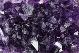 Free-Standing Amethyst Crystal Cluster - Uruguay #371604-1